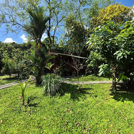 Centro Ananda Bed and Breakfast Guápiles Εξωτερικό φωτογραφία