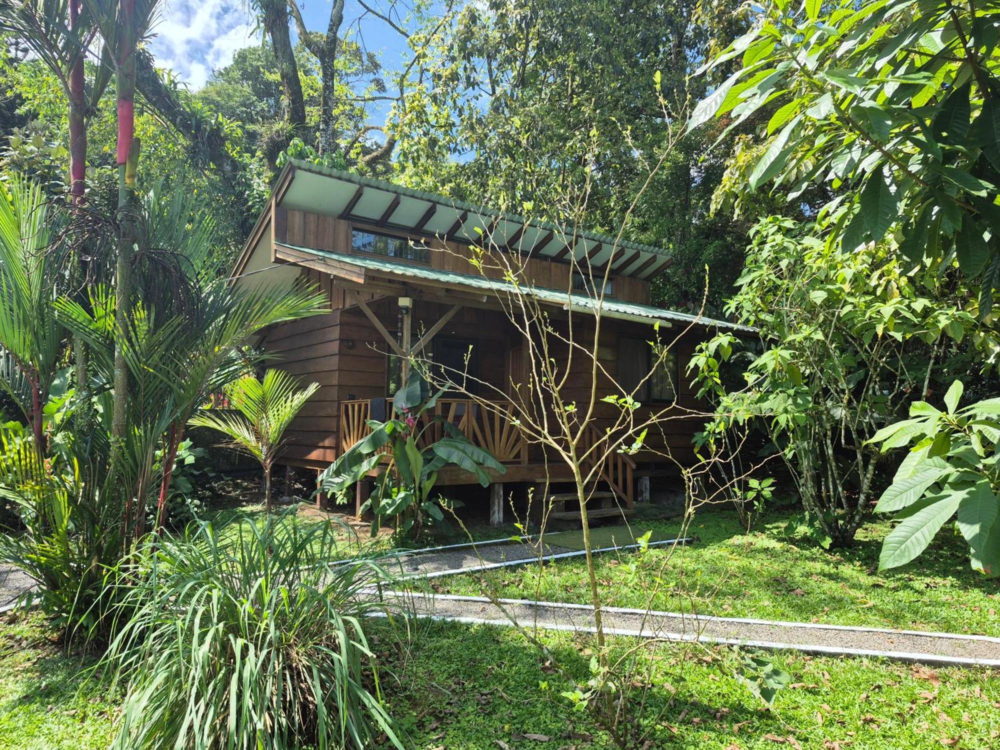 Centro Ananda Bed and Breakfast Guápiles Εξωτερικό φωτογραφία